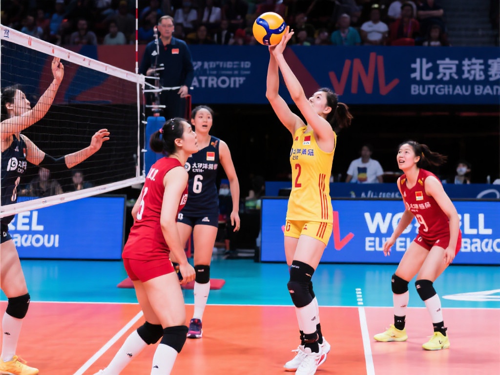 战术布置被 战术布置被